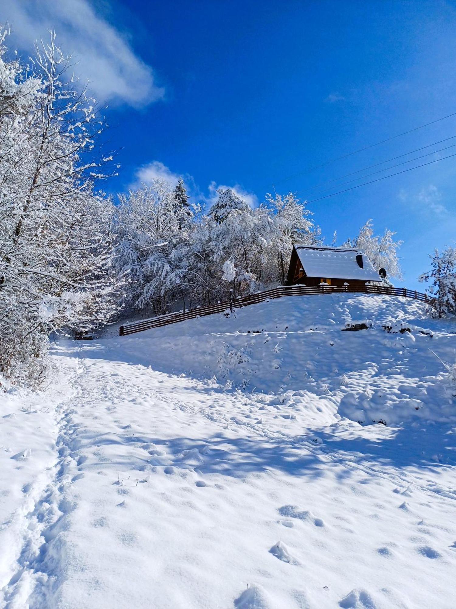 Drvene Kuce Suska - Wooden Houses Suska Zaovine Room photo